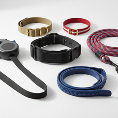 Dog Leashes & Collars