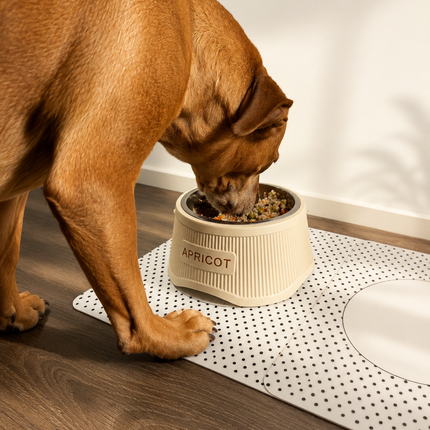 Elevate - Stylish Raised Pet Bowl