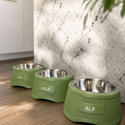 Elevate - Stylish Raised Pet Bowl