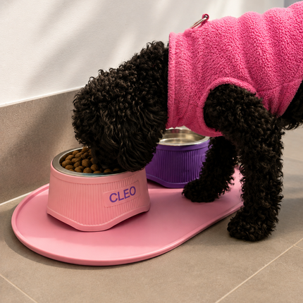 Elevate - Stylish Raised Pet Bowl