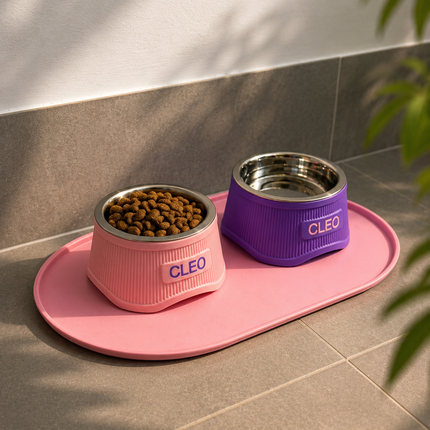 Elevate - Stylish Raised Pet Bowl