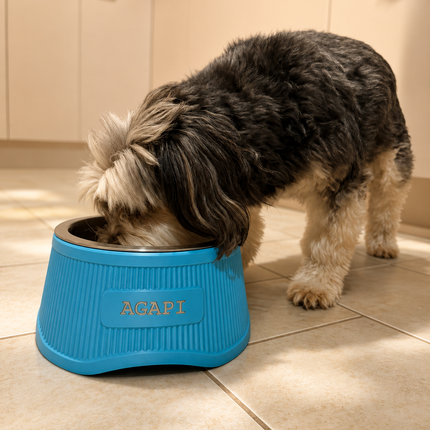 Elevate - Stylish Raised Pet Bowl