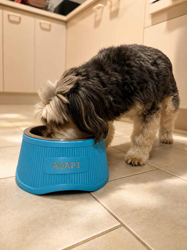 Elevate - Stylish Raised Pet Bowl