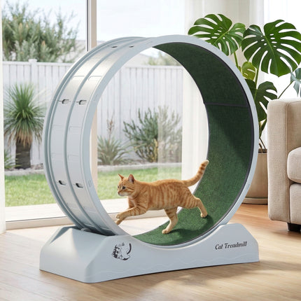 i.Pet Cat Exercise Wheel Treadmill Indoor 78cm Blue & Green