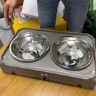 Black Elevated Double Feeder