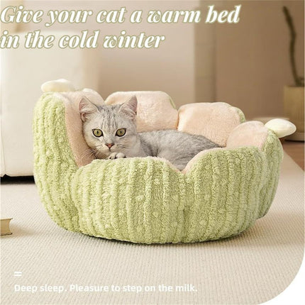 Cactus Cat Bed
