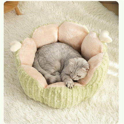 Cactus Cat Bed