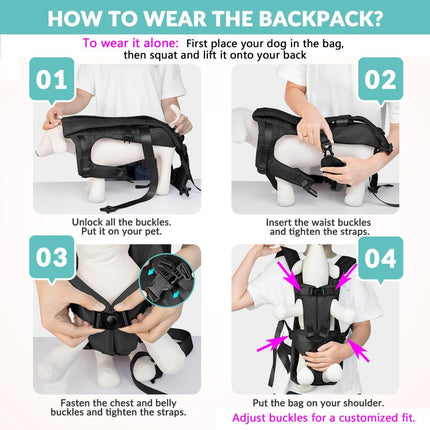 Dog Harness & Storage Bags