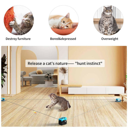 Interactive Cat Toy Automatic Cat Toy Manual Cat Toy DIY Feather Mouse Toy Cat