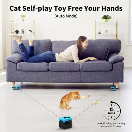 Interactive Cat Toy Automatic Cat Toy Manual Cat Toy DIY Feather Mouse Toy Cat
