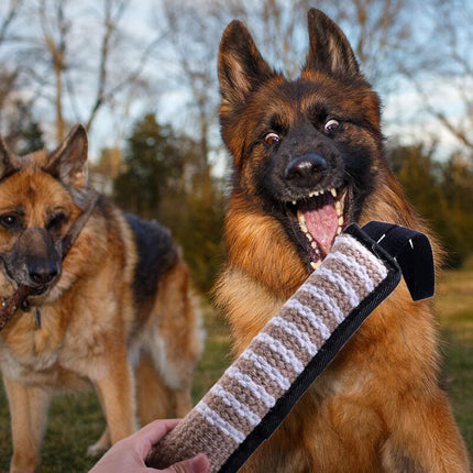 Dog Bite Toys, Dog Bite Toys, Dog Bite Toys, Jute Dog Bite Toys, Dog Training Toys, Interactive Toys For Medium To