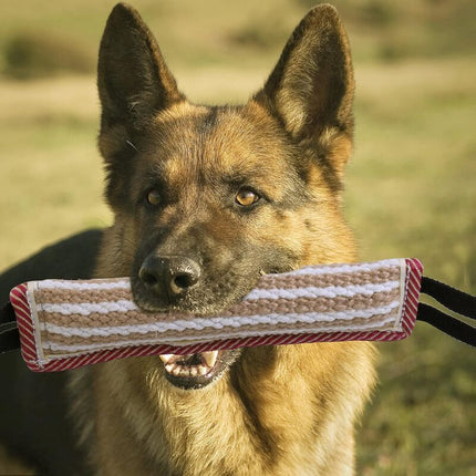 Dog Bite Toys, Dog Bite Toys, Dog Bite Toys, Jute Dog Bite Toys, Dog Training Toys, Interactive Toys For Medium To