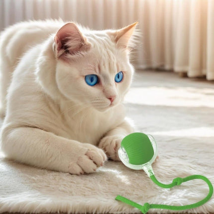 Interactive Cat Toy Ball Electronic Automatic with 3 Modes, Compatible with Cats, Green