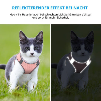 Reflective Dog & Cat Harness with Leash