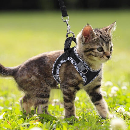 Reflective Dog & Cat Harness with Leash