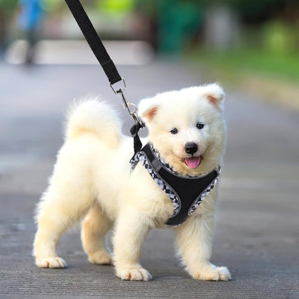 Reflective Dog & Cat Harness with Leash