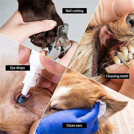 Cat, Dog Hanging Bag - 11-Piece Pet Grooming Hammock - For Easy Nail Trimming - Size S - Pet Hammock - Pet Grooming - Pet Care Hammock - Pet Nail Trimming Harness - 57x44.5 Cm - Blue