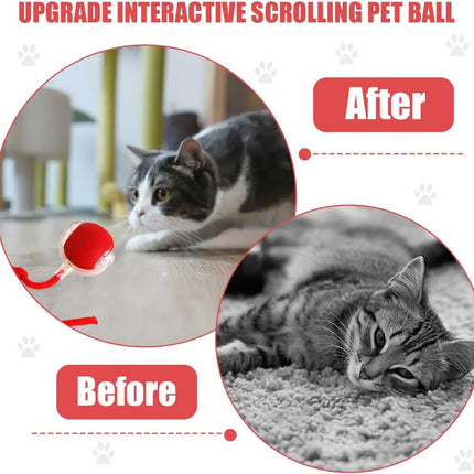 Electric Cat Ball Toy - Cat Toys - Electric Toy Ball - Pet Toys - Smart Toy Ball - Automatic Rolling Cat Ball - Interactive Cat Toy - Rechargeable - Cat Ball for Play and Interaction - Red