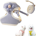 Dog Harness - Adjustable Harness
