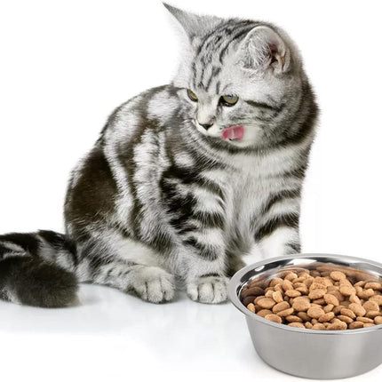 4-Pack Stainless Steel Food and Water Bowls for Cats and Dogs - Pet Food and Water Bowls - Pet Bowls - For Large, Medium, and Small Dogs - Kitten Bowls - Puppy Bowls