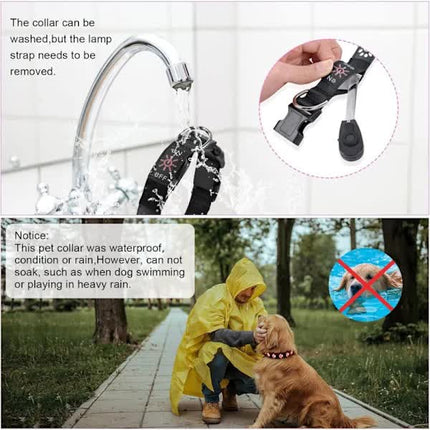 LED Luminous Dog Collar, Rechargeable and Waterproof Dog Collar, Adjustable Collar with 7 Light Modes (Colorful-M)