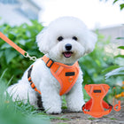 Tyidzon Small Dog Harness with Pet Lead, Puppy Harness Reflective Step-in Puppy Pet Harnesses for Small Medium Dogs and Cats Orange