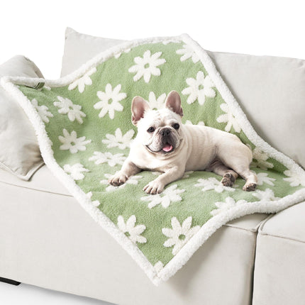 Puppy Blanket for Small Dogs - Washable Double Sided Dog Blankets with Warm Jacquard Shag and Soft Sherpa Fleece, Pet Cat Blanket for Couch Protection, 3D Textured Cloud, Green
