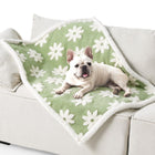 Puppy Blanket for Small Dogs - Washable Double Sided Dog Blankets with Warm Jacquard Shag and Soft Sherpa Fleece, Pet Cat Blanket for Couch Protection, 3D Textured Cloud, Green