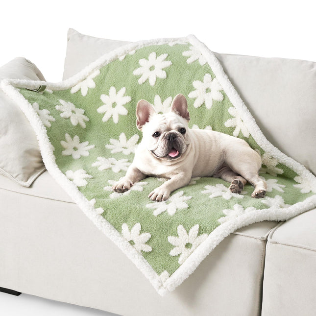 Puppy Blanket for Small Dogs - Washable Double Sided Dog Blankets with Warm Jacquard Shag and Soft Sherpa Fleece, Pet Cat Blanket for Couch Protection, 3D Textured Cloud, Green