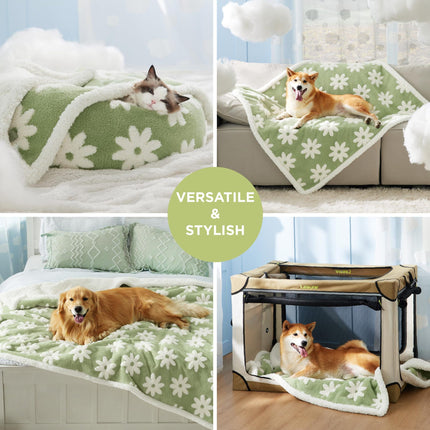 Puppy Blanket for Small Dogs - Washable Double Sided Dog Blankets with Warm Jacquard Shag and Soft Sherpa Fleece, Pet Cat Blanket for Couch Protection, 3D Textured Cloud, Green
