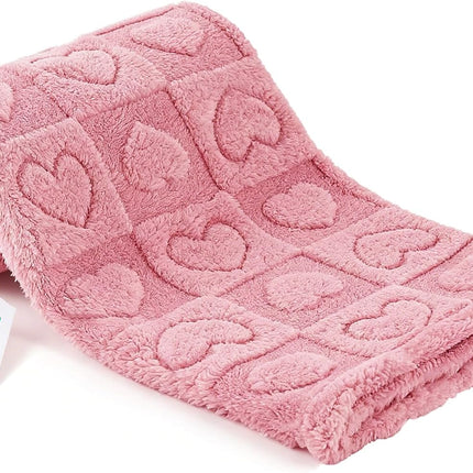 Pet Blanket for Dogs Cats, Ultra Soft Fuzzy Fleece 300GSM, Washable Small Dog Blanket, Premium Plush Puppy Bed Cover Couch, Calming Cat Crate Mat (Pink, 25x35) Pink 25x35"