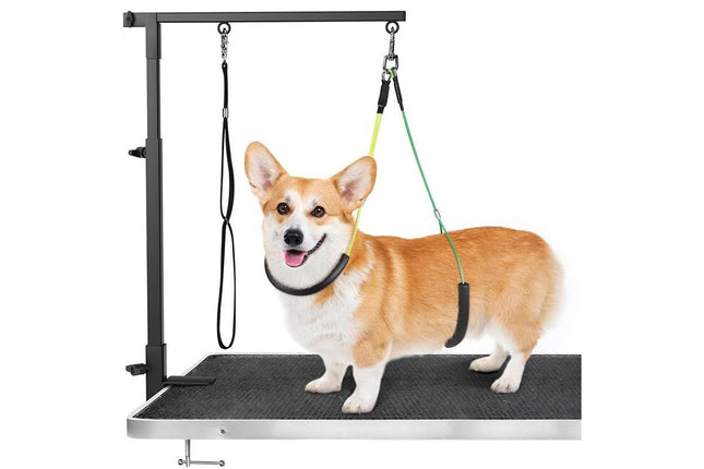 Dog Grooming Arm Pet Grooming Hammock Dog Grooming Stand with Loop Noose