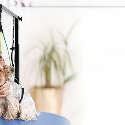 Dog Grooming Arm Pet Grooming Hammock Dog Grooming Stand with Loop Noose