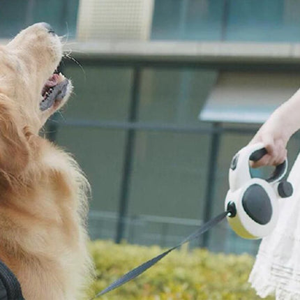 5m Auto Retractable Dog Leash with LED