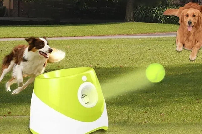 Dog Ball Launcher Thrower Automatic Tennis Fetch Throwing Machine with 3 Balls -Light Green