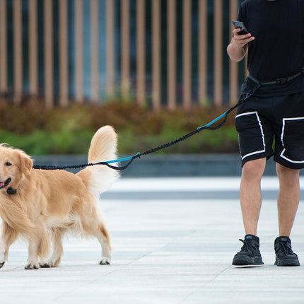 Hands-Free Dog Leash Set with Waist Belt and Storage Pouch