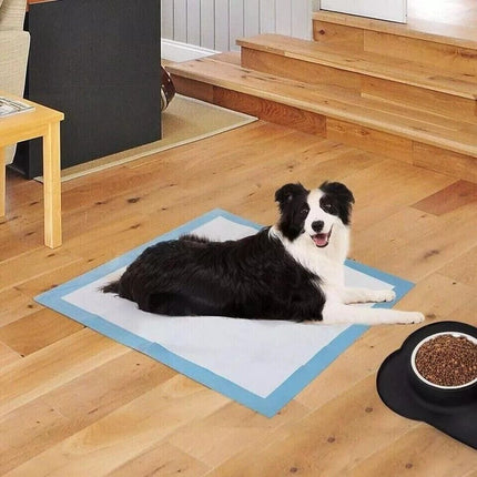 Pet Training Pads Puppy Dog Toilet Thickened Pee Mat Indoor Super Absorbent Pad
