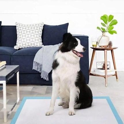 Pet Training Pads Puppy Dog Toilet Thickened Pee Mat Indoor Super Absorbent Pad