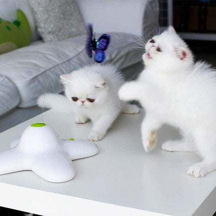 Flutter Bug Butterfly Cat Toy - Interactive Teaser Pet Kitty Play - All for Paws