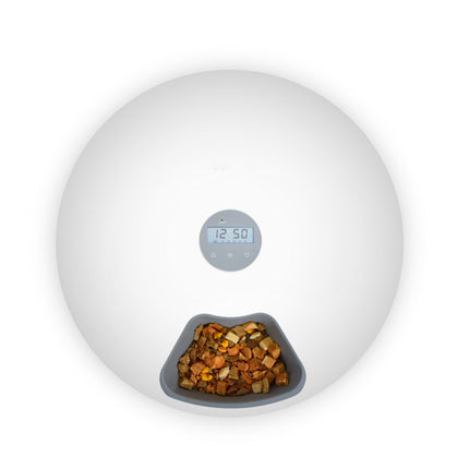White 6 Meal Feeder