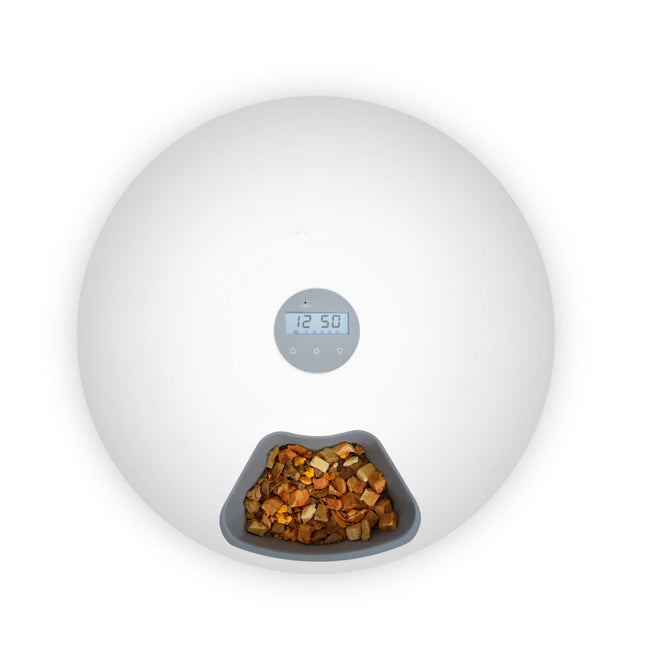 White 6 Meal Feeder