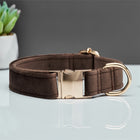 Durable Dog Collar with Metal Buckle