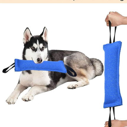 Blue Durable 2-Pack Tug-of-War Dog Training Toy - Tear-Resistant, Safe & Interactive for All Breeds
