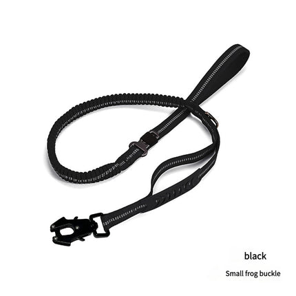 Shock Absorbing Dog Leash