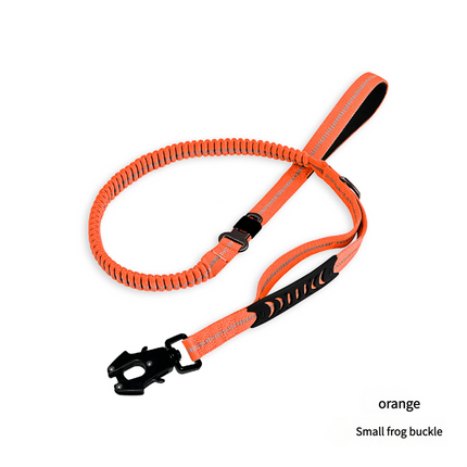 Shock Absorbing Dog Leash