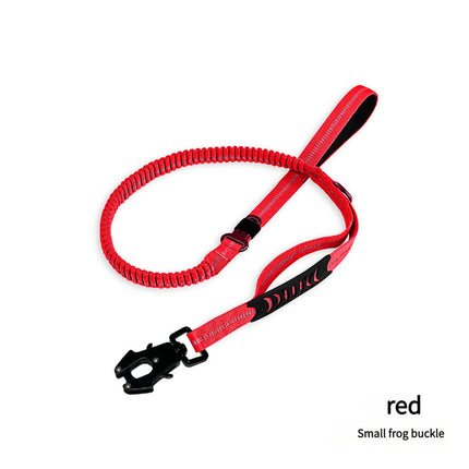 Shock Absorbing Dog Leash