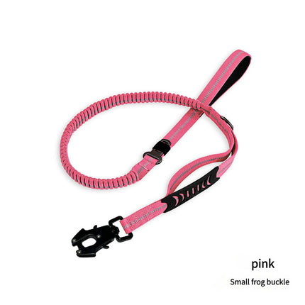 Shock Absorbing Dog Leash