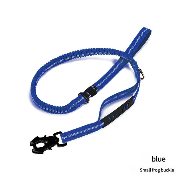 Shock Absorbing Dog Leash