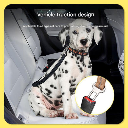 Shock Absorbing Dog Leash