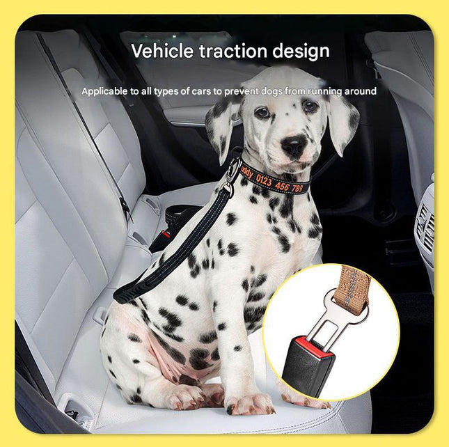 Shock Absorbing Dog Leash